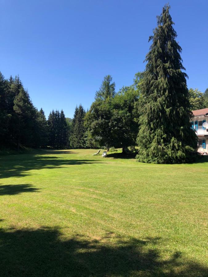 Agriturismo La Casa Nel Bosco Boveglio ภายนอก รูปภาพ