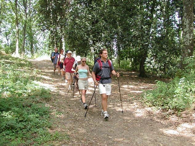 Agriturismo La Casa Nel Bosco Boveglio ภายนอก รูปภาพ