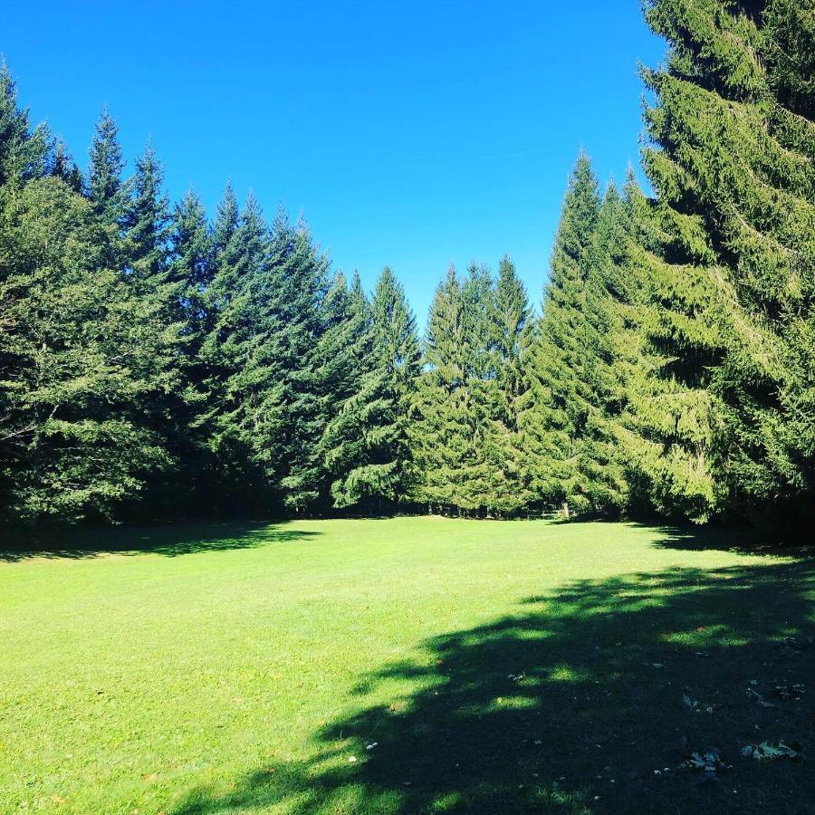 Agriturismo La Casa Nel Bosco Boveglio ภายนอก รูปภาพ